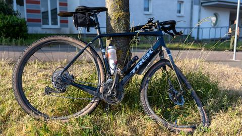 Das zerbeulte Fahrrad lehnt an einem Baum. 