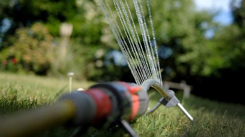 Symbolfoto: Größere Gärten mit Trinkwasser bewässern ist in Königstein tabu. 