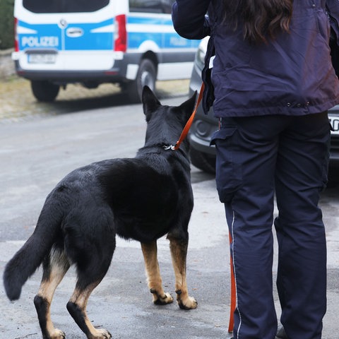 Polizeibeamtin mit Hund steht an einer Straße neben zwei Polizeiautos.