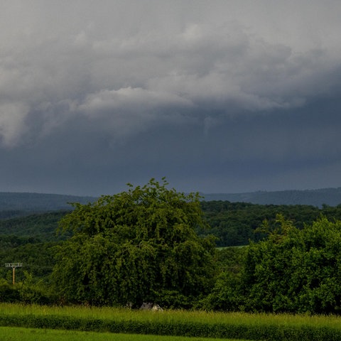 Regenwolken am Himmel, unten grüne Wiese