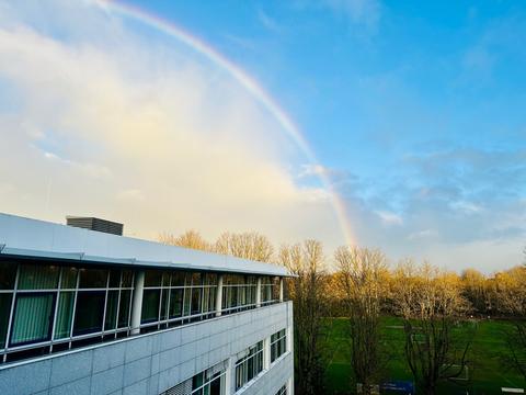 Regenbogen über dem hr am Dornbusch