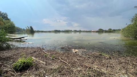 Der Wasserpegel im Reinheimer Teich ist um fast 60 Zentimeter gesunken.