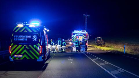 Feuerwehrauto und Einsatzkräfte auf Straße, rechts neben Straße tote Rinder