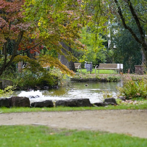 Teich im Verna-Park in Rüsselsheim