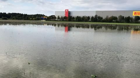 Direkt nach den Regenfällen am vergangenen Samstag glich das Feld der Familie Sauerwein einer Seenlandschaft.