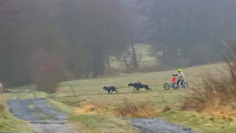 Schlittenführerin Elke fährt mit Schlitten durchs nordhessische Land