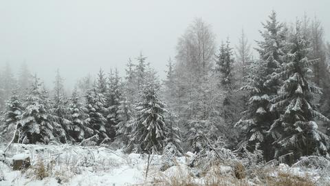 weiße Winterlandschaft
