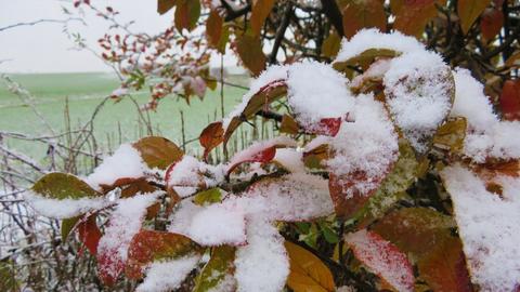 Schnee im Vogelsberg