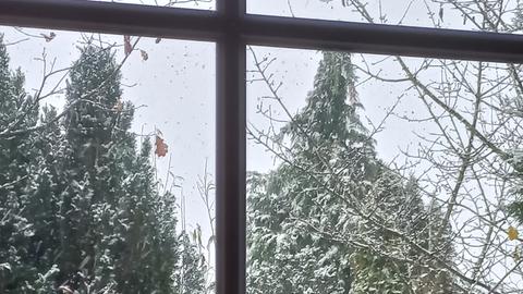 Blick aus dem Fenster: Schnee in der Wetterau
