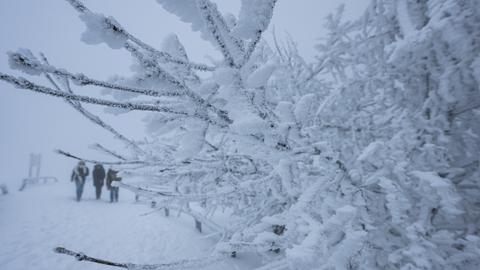 Schneebedeckte Äste, graues Wetter, im Hintergrund Spaziergänger