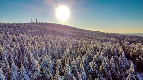 Ein schneebedeckter Wald an einem Berghang aus der Luft fotografiert, im Hintergrund geht die Sonne unter.