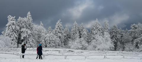 Schnee auf Bäumen am Feldberg, mit einer Drohne von oben aufgenommen