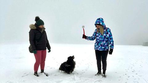 Ausflügler im Schnee auf dem Großen Feldberg