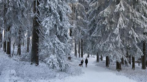 Spaziergänger und Wanderer gehen auf dem Feldberg im Taunus durch den frischen Neuschnee. 