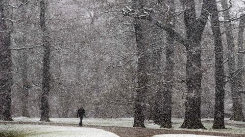 Schnee in der Karlsaue