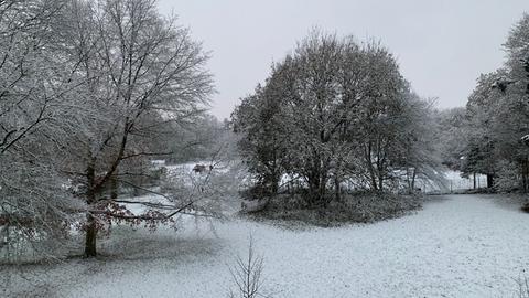 "Blick aus meinem Fenster, Richtung Baunsbergstraße mit Pferdeidyll" vor dem hr-Studio in Kassel. 