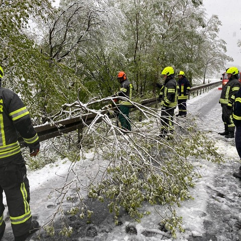 Rettungsdienste auf einer verschneiten Straße mit abgebrochenen Ästen
