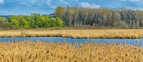 Schweinsberger Moor