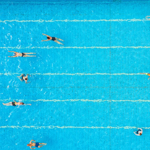 Aufnahme eines Schwimmbeckens mit mehreren Schwimmern von oben