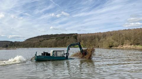 Ein Spezial-Amphibienfahrzeug befördert mit einem Kran die Reste von Bäumen ans Ufer. 