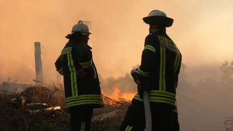 Feuerwehrkräfte mit Schläuchen im Wald