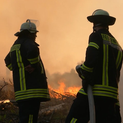 Feuerwehrkräfte mit Schläuchen im Wald