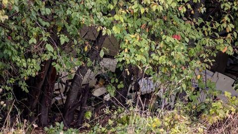 Flugzeugteile liegen im dichten Geäst von Bäumen