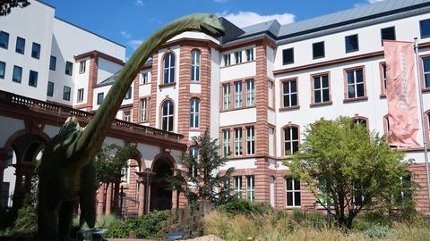 Vor dem Senckenberg Museum steht ein Dinosaurier in Lebensgröße.