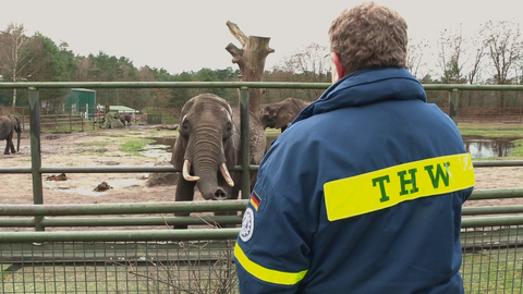 Ein THW-Helfer steht vor dem Elefantengehege. 