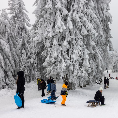 Rodler auf dem Feldberg