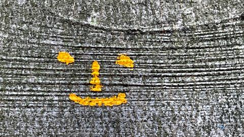 Smiley auf Baumrinde