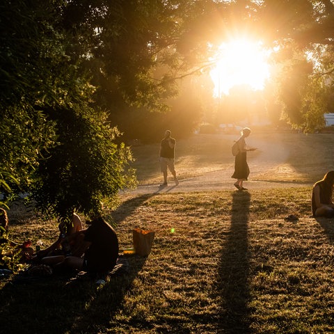 Die Abendsonne bescheint einen der trockenen, staubigen Wege im Frankfurter Günthersburgpark, der trotz der Hitze zum Abendspaziergang oder zum Verweilen einlädt. 