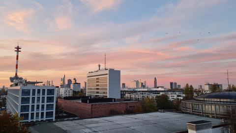  Blick auf die Frankfurter Skyline