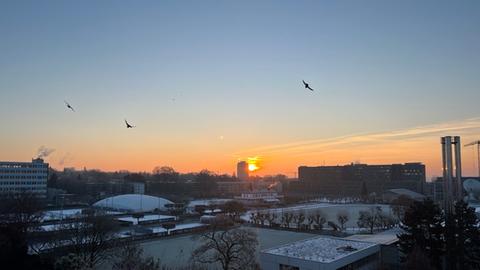 Sonnenaufgang über Frankfurt, vom hr-Dach fotografiert