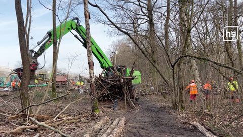 Bagger und Räumfahrzeuge sind im Wald im Einsatz.