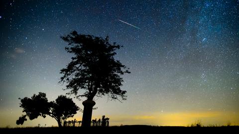 Nachthimmel mit Sternschnuppe und Milchstraße. Gegen den Hintergrund hebt sich die Silhouette einer Wiese mit Baum ab.