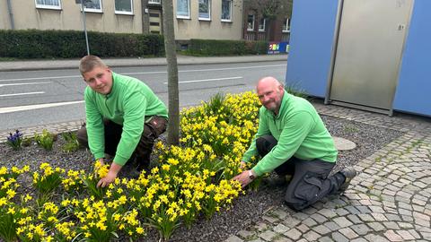 Streit um Blumen-Pflanzaktion in Kassel-Bettenhausen