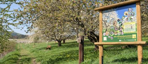 Eine Streuobstwiese, daneben ein Weg mit einer Bank und eine Erläuterungstafel auf welcher u.a. steht: "Die Streuobstwiese - ein wertvoller Lebensraum"