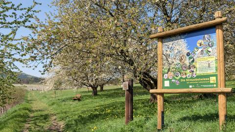 Eine Streuobstwiese, daneben ein Weg mit einer Bank und eine Erläuterungstafel auf welcher u.a. steht: "Die Streuobstwiese - ein wertvoller Lebensraum"