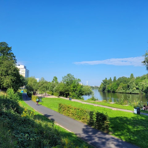 Der Tatort: eine Grüne Wiese mit Radweg am Mainufer.