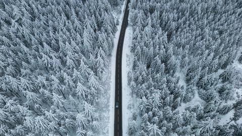Luftaufnahme von schneeweißen Bäumen und einer Straße