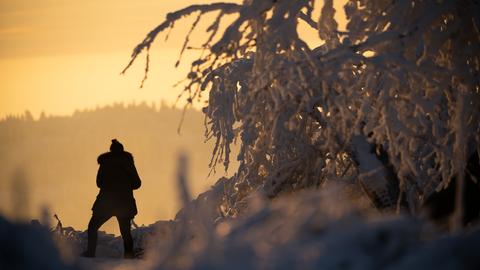 Spaziergänger unter schneebedeckten Bäumen im Taunus im morgendlichen Licht