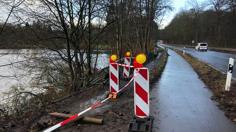 Steinbrücker Teich Darmstadt