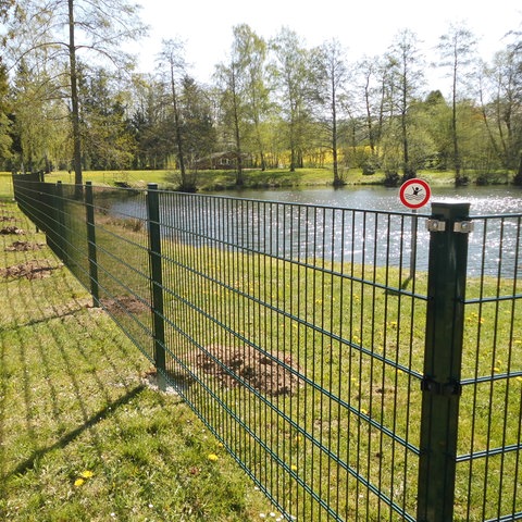 Ein Zaun umrandet in Teilen das Rasenufer eines Dorfteichs in Neukirchen.