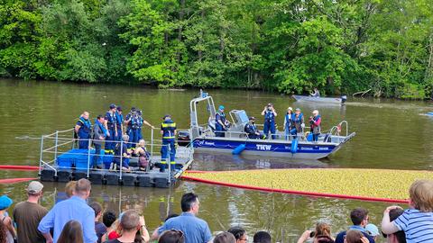 Boote des THW und tausende Tigerenten auf der Fulda in Kassel