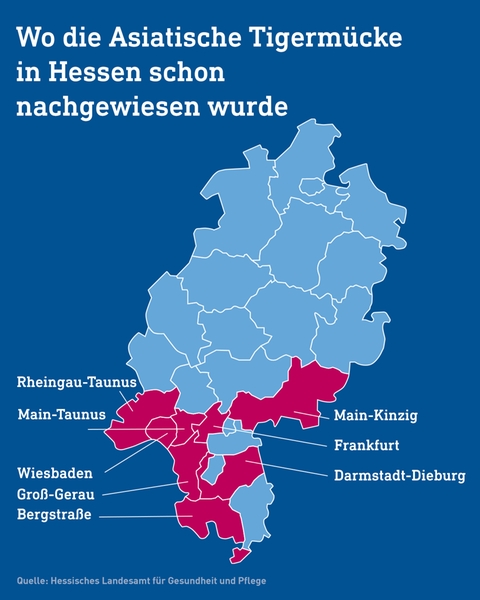 Hessenkarte auf blauem Hintergrund, in welcher folgende Landkreise pink markiert sind: Wiesbaden, Main-Taunus, Rheingau-Taunus, Groß-Gerau, Bergstraße, Darmstadt-Dieburg, Frankfurt, Main-Kinzig