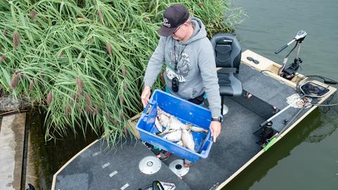 Ein Mann hält einen Behälter, darin sind tote Fische zu sehen. 