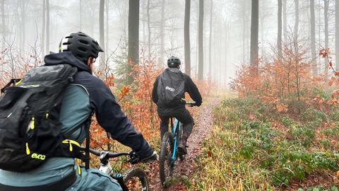 Zwei Mountainbiker fahren durch einen Wald. Sie sind von hinten zu sehen.