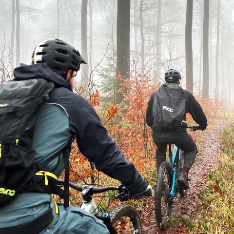 Zwei Mountainbiker fahren durch einen Wald. Sie sind von hinten zu sehen.