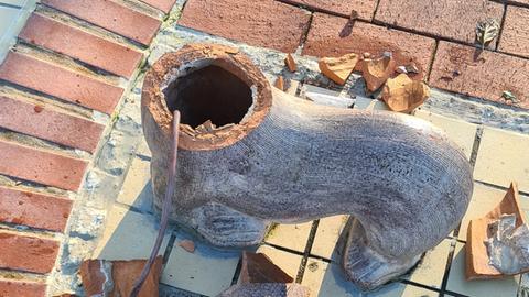 Der zerstörte Seehund an seinem Platz